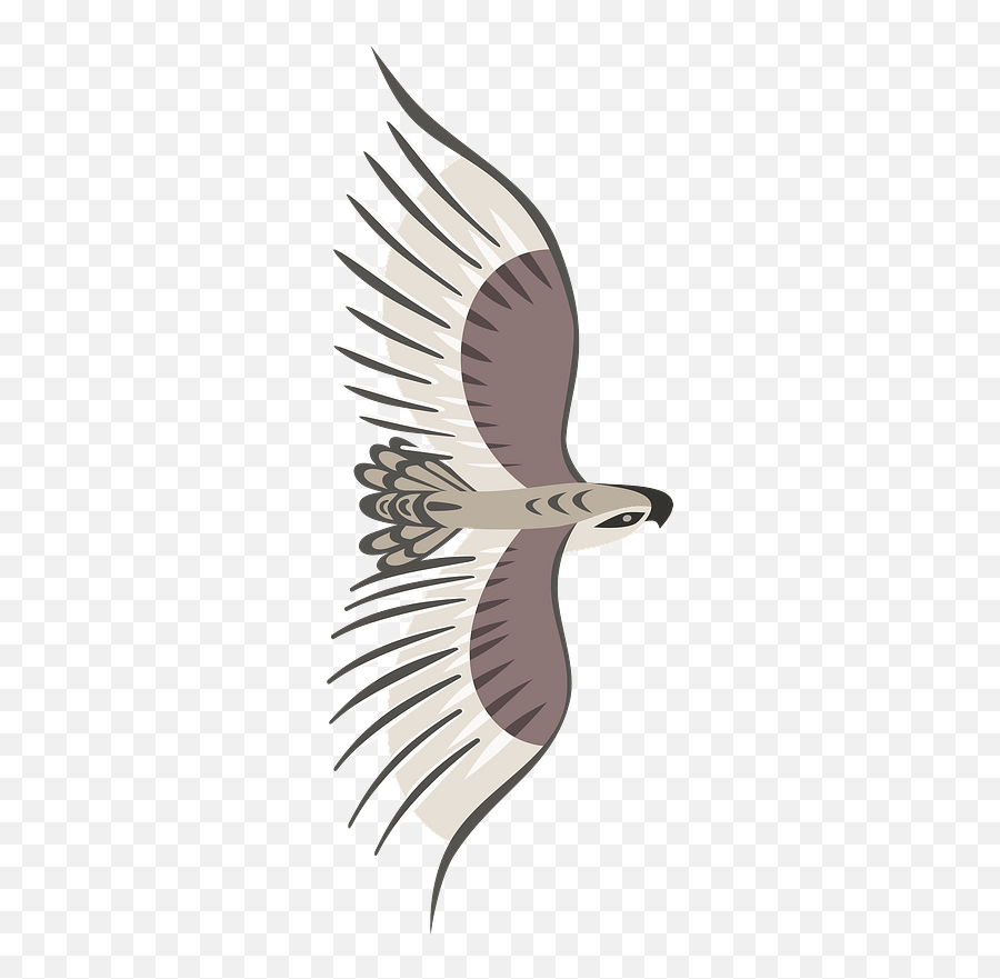 Golden Eagle In Flight Clipart Bird Top View Png Emoji,Hawk Emoji free transparent emoji