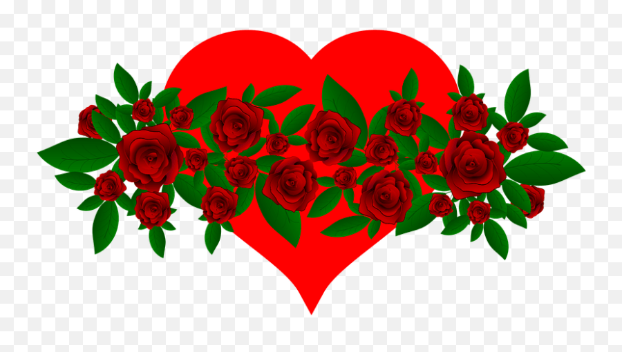 Good Morning Images For Whatsapp Free Red Rose Good Morning Rose