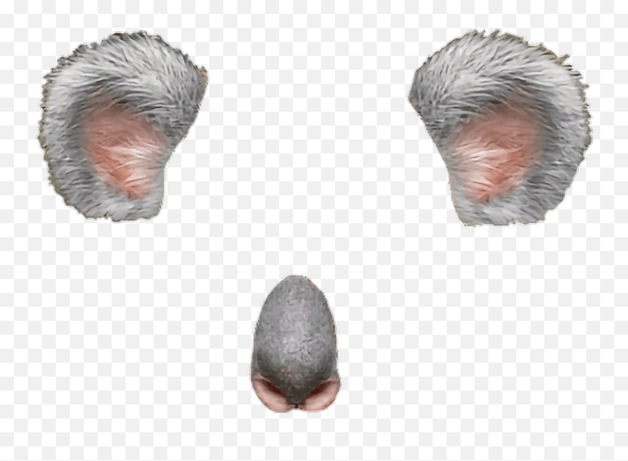 Koala Snapchat Emoji,Koala Emoji Snapchat free transparent emoji