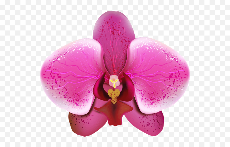Free Pink Orchid Cliparts Download Orquidea Png Emoji,Orchid Emoji