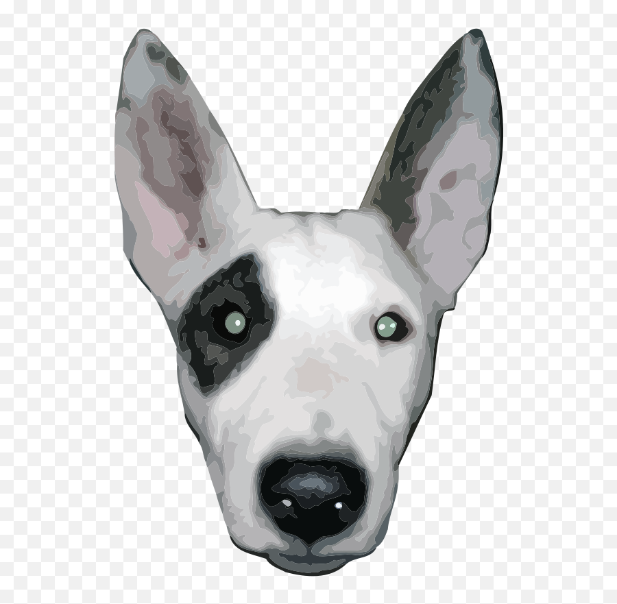 Free Clipart Highres Bullterrier Head Aungkarns Cara De Perro Png