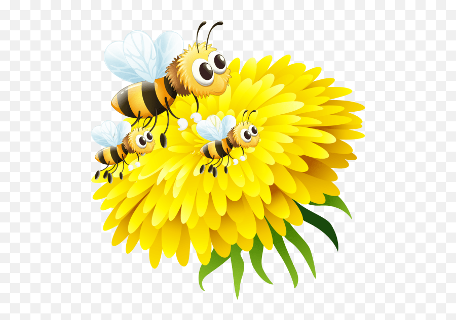 Bee In Flower Bee Honey Png And Psd 5word Spelling Test Cartoon Bee