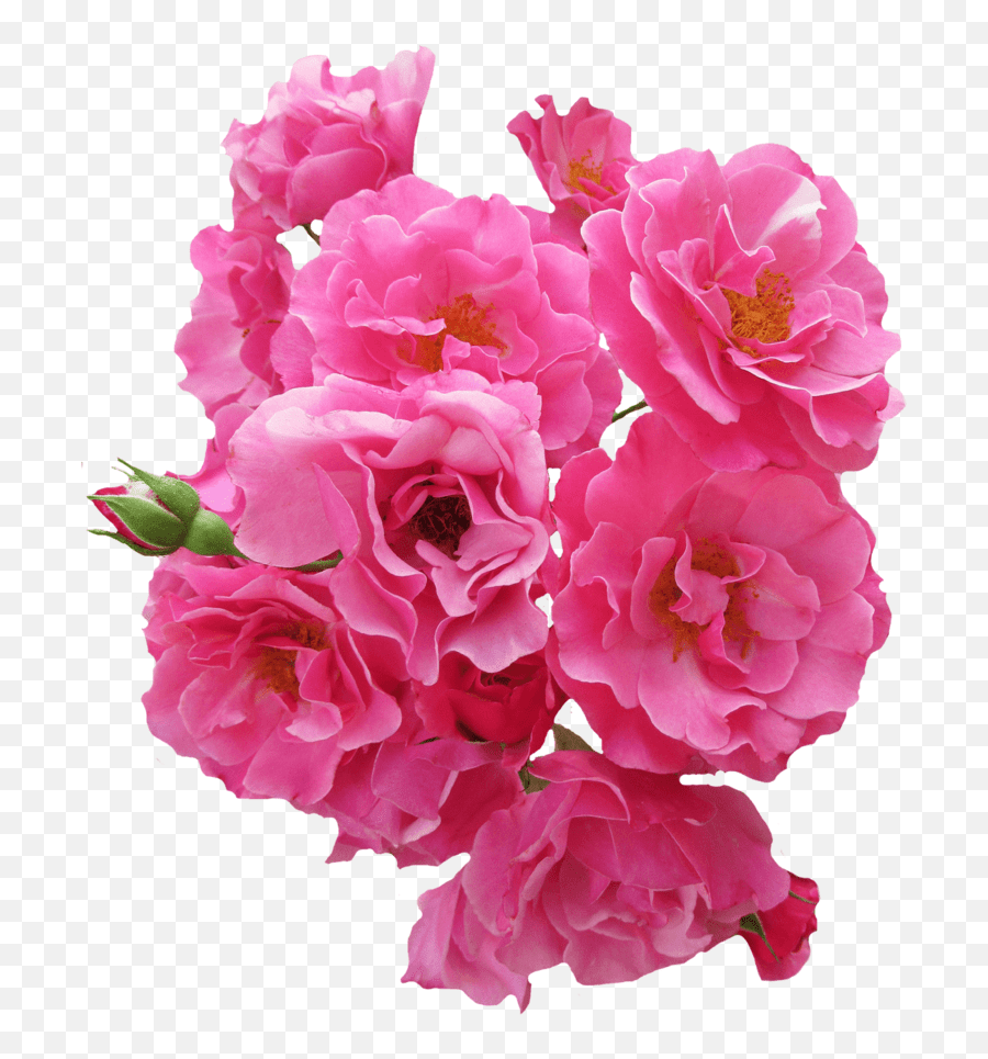 Png Bunch Pink Flowers Png Emoji,Bouquet Of Flowers Emoji free