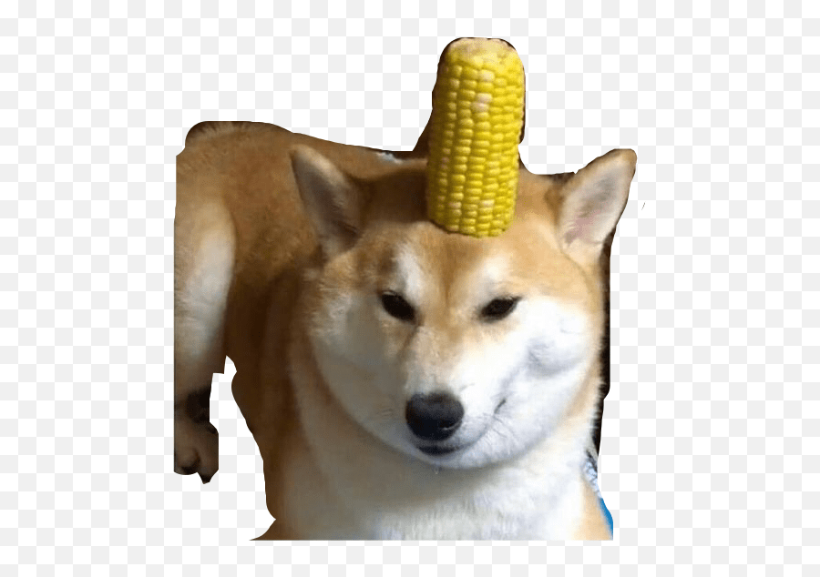 Doge Corndog Dog Cornfreetoedit Corn Doggo Emoji,Corn Dog Emoji
