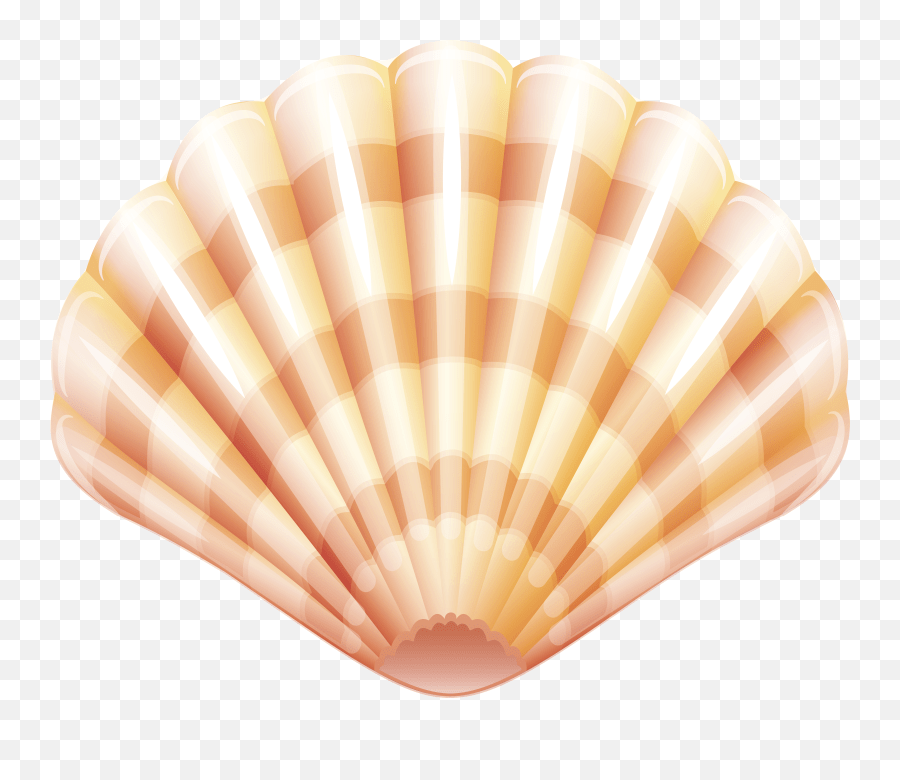 Clam Clipart Png Clam Shell Clipart Png Emoji,Clam Emoji free