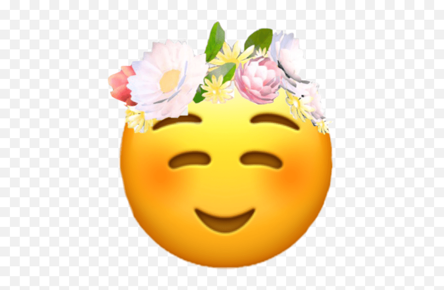 Sticker Emoji Snapchat Snapchatfilter Flowers Snapchat Flower Crown Png,Snapchat Emoji free
