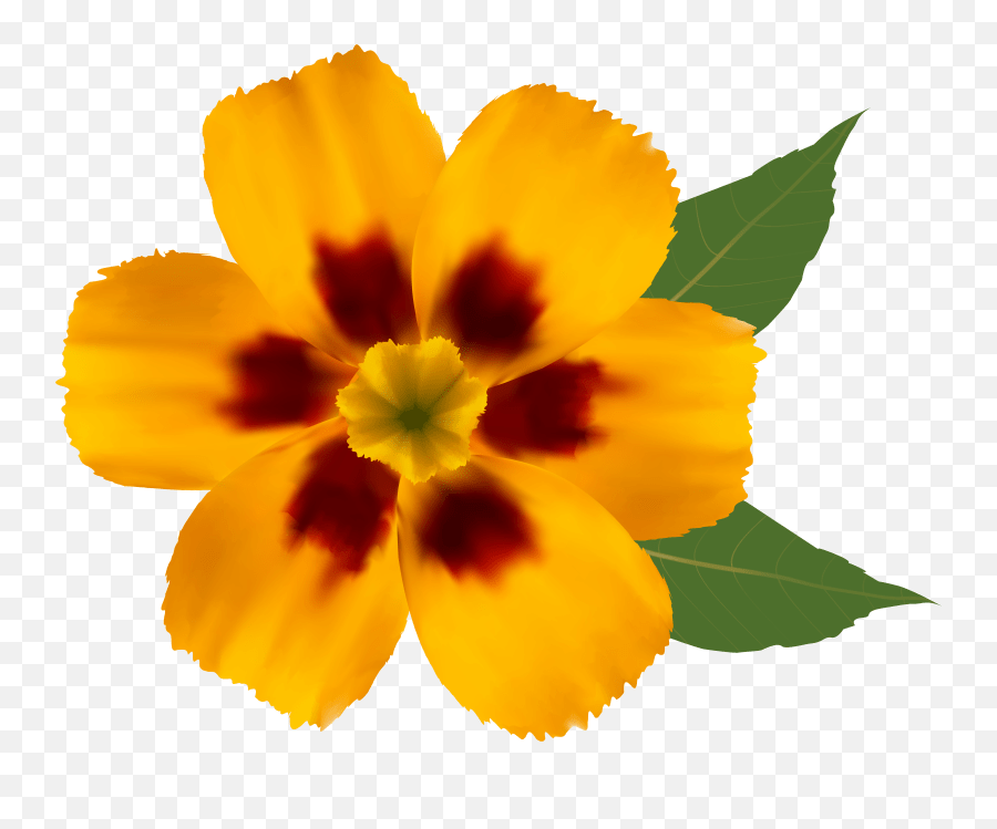Yellow Flower Png Clipart Transparent Background Real Flower Clipart