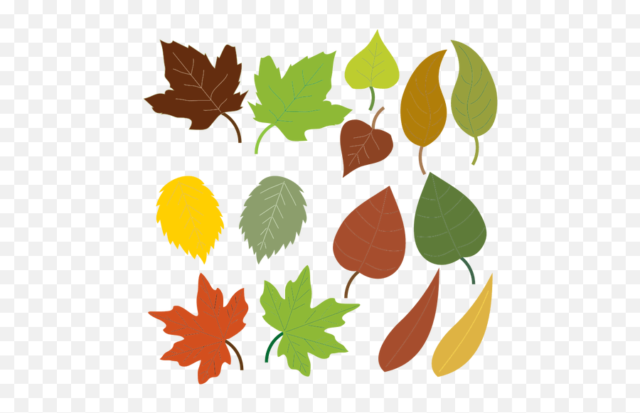 Variety Of Leaves Types Of Leaves Clipart Emoji,Falling Leaves Emoji