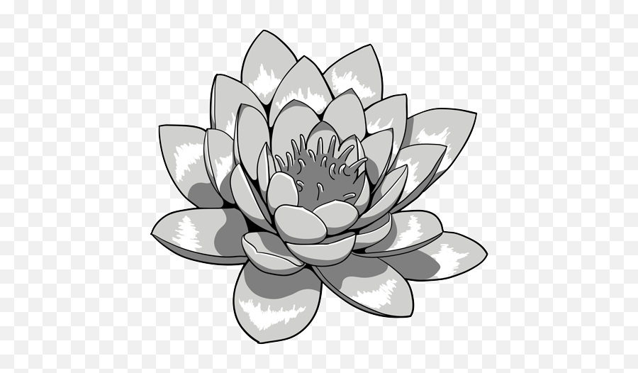 Lotus Flower Black And White Png Transpa 138029 Png Lotus Flower Tattoo Png Emoji,Japanese