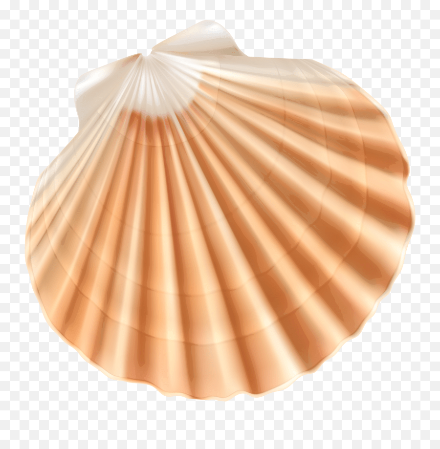 Clam Clipart Png Emoji,Clam Emoji free transparent emoji