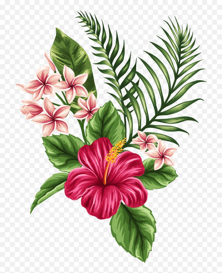 Dying Flower Drawing Free Download On Clipartmag Hawaiian Tropical