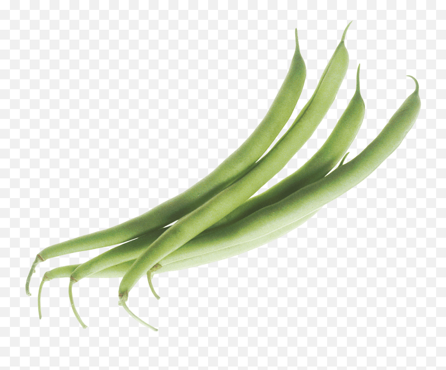 Plant Clipart String Bean Plant String Green Bean Png Emoji,Green
