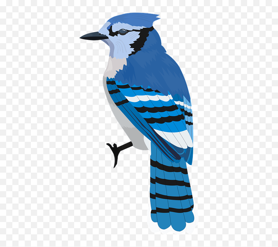 Bluejay Bird Blue Blue Jay Emoji,Blue Jays Emoji free transparent