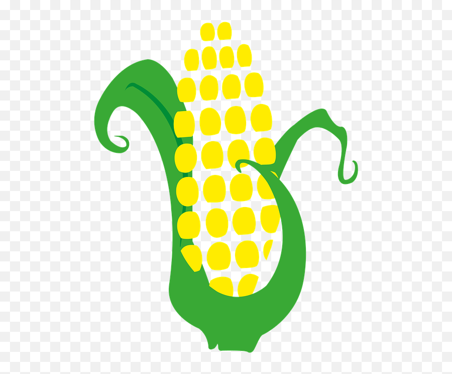 Corn Cob Harvest Dibujo Mazorca Png Emoji,Corn Dog Emoji free