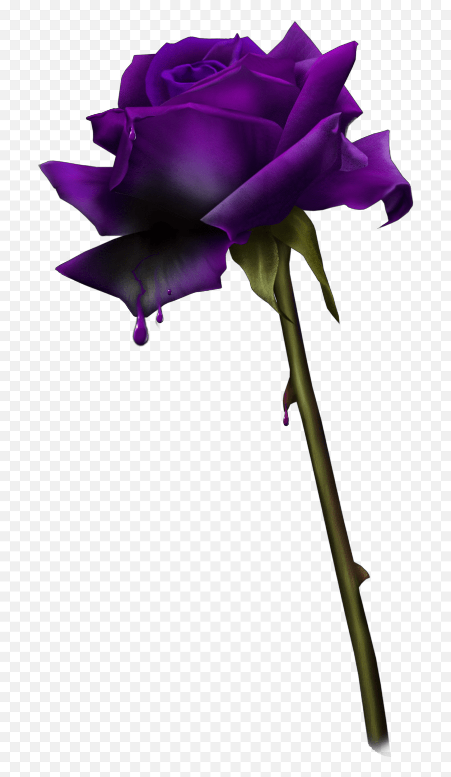 Rose Pretty Beautiful Drips Blood Aesthetic Blood Red Rose Emoji