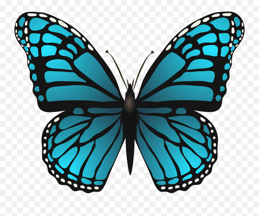 Blue Butterfly Images Clipart Transparent Background Blue Butterfly