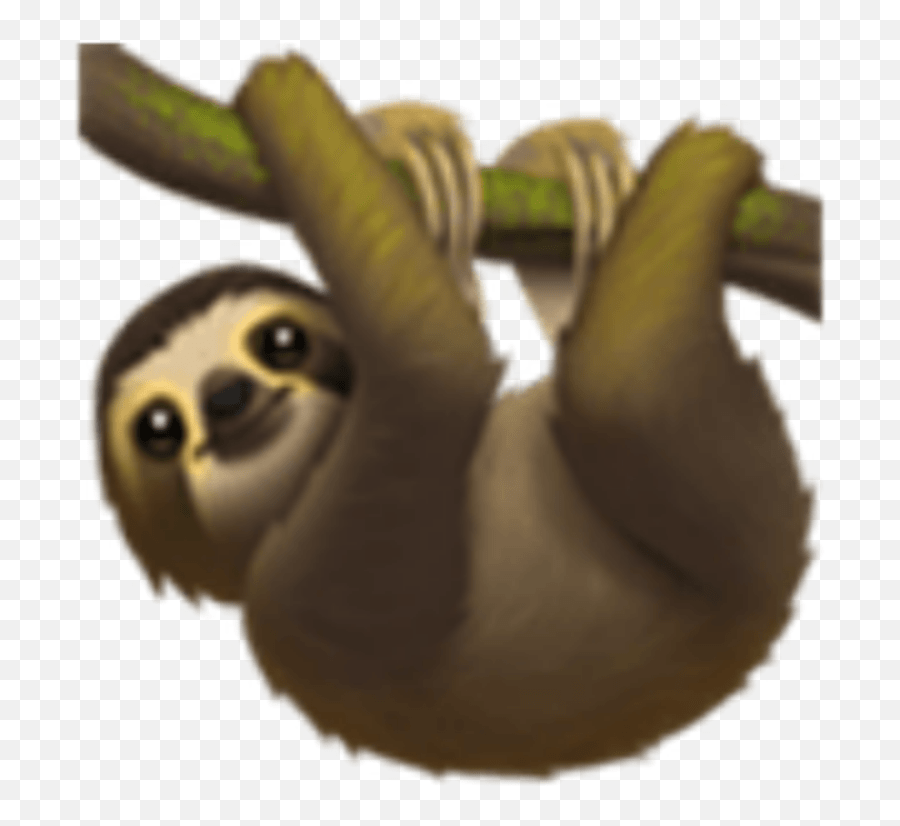 The Newest Stickers Sloth Emoji Apple,Is There A Sloth Emoji free