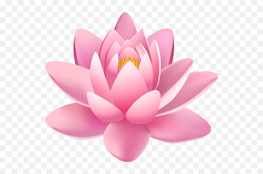 Lotus Flower Png Lily Pad Flower Clipart Emoji,Lily Pad Emoji free