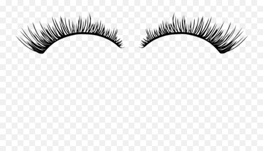 Free Eyelashes Png Transparent Download Free Clip Art Free False Eyelashes Transparent