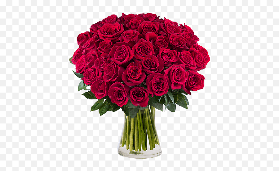Red Rose Bouquet With Feathers Ramo De 40 Rosas Emoji,Black Rose