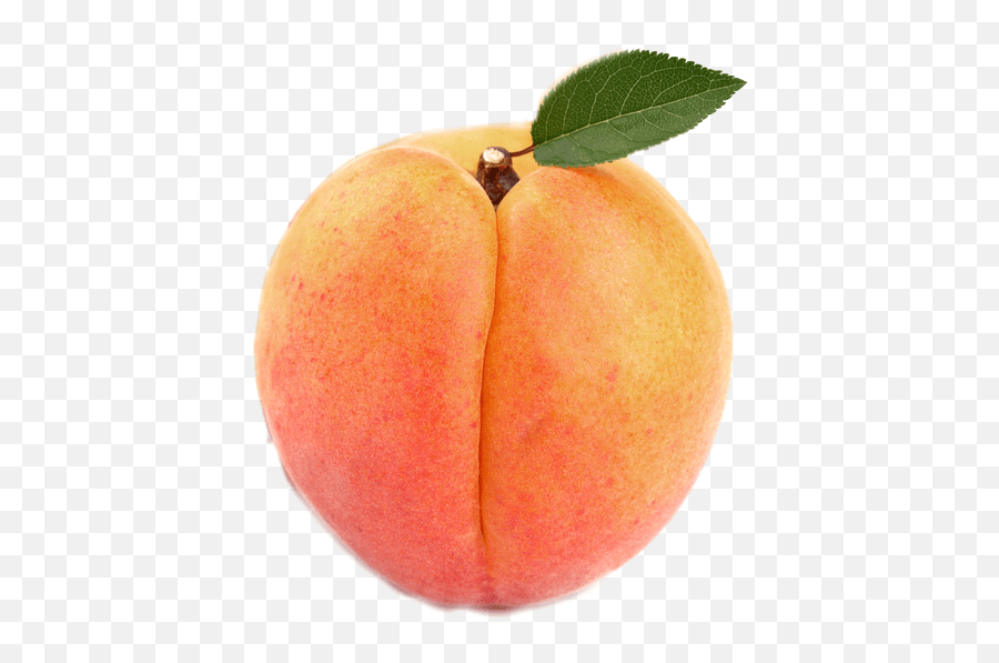 Fruits Peach Apricot Nectarine Emoji,Apricot Emoji free transparent