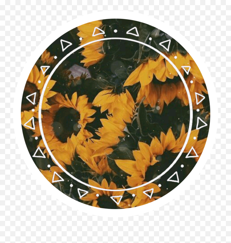Circulo Mandala Margaritas Flores Black Flowers Aesthetic Emoji,Emoji