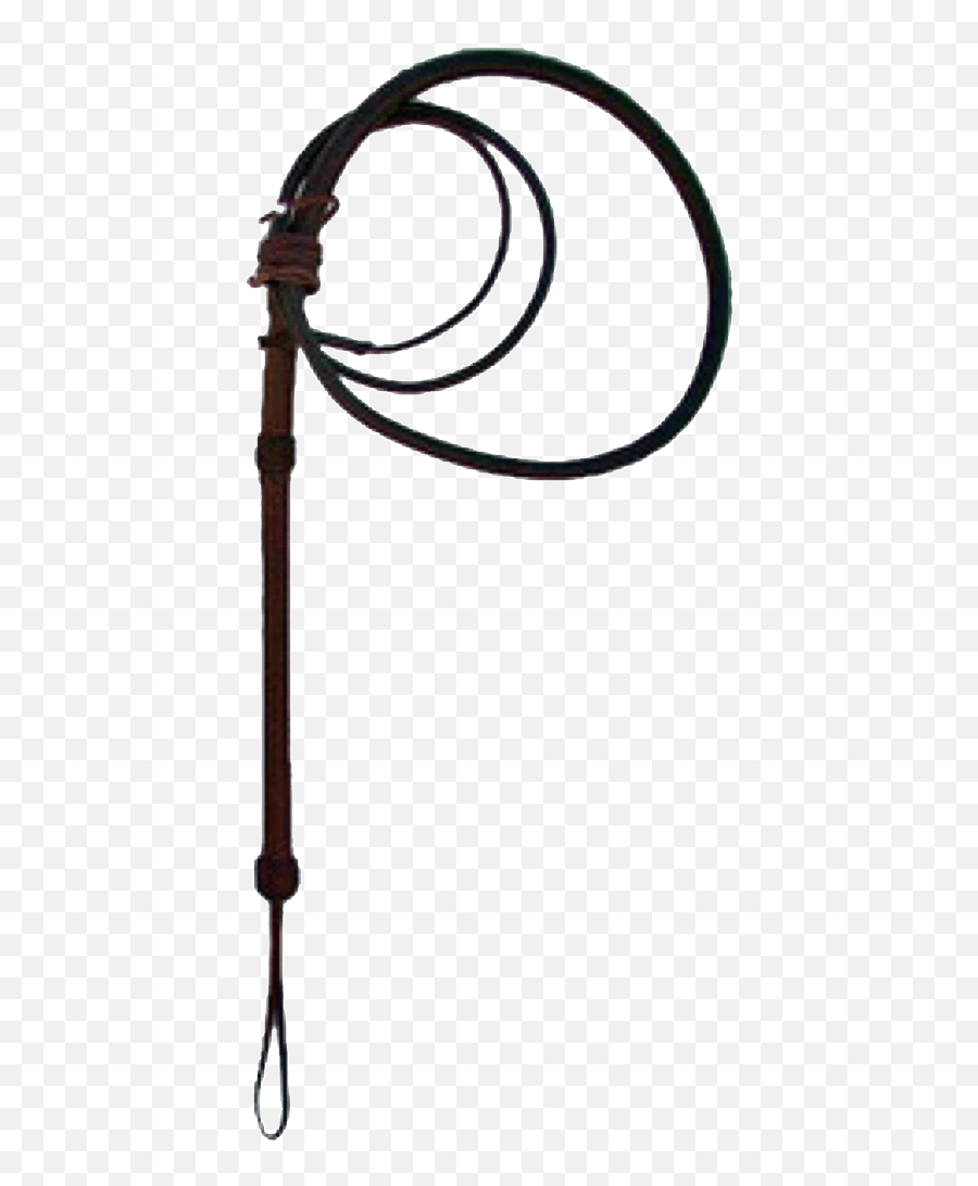 Whip Freetoedit Camera Strap Emoji,Whip Emoji Copy free transparent