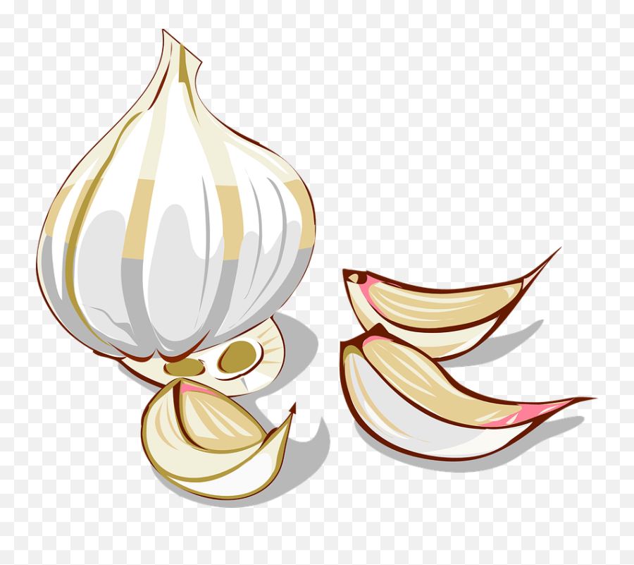 Garlic Cloves Vegetable Clove Of Garlic Clipart Emoji,Peach Eggplant