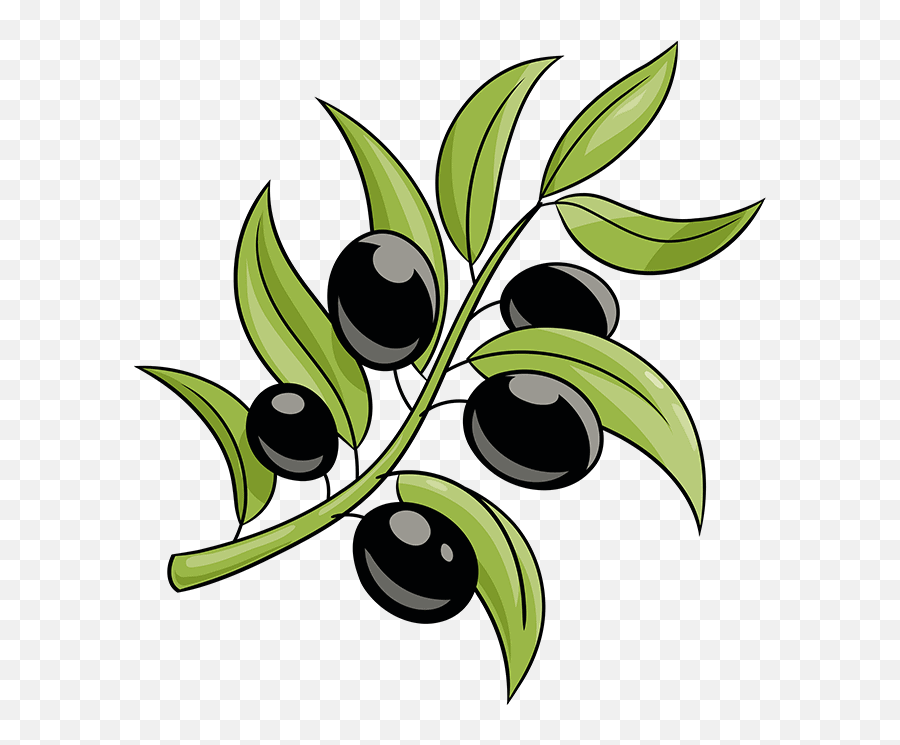 How To Draw An Olive Branch Draw An Olive Branch Emoji,Olive Emoji