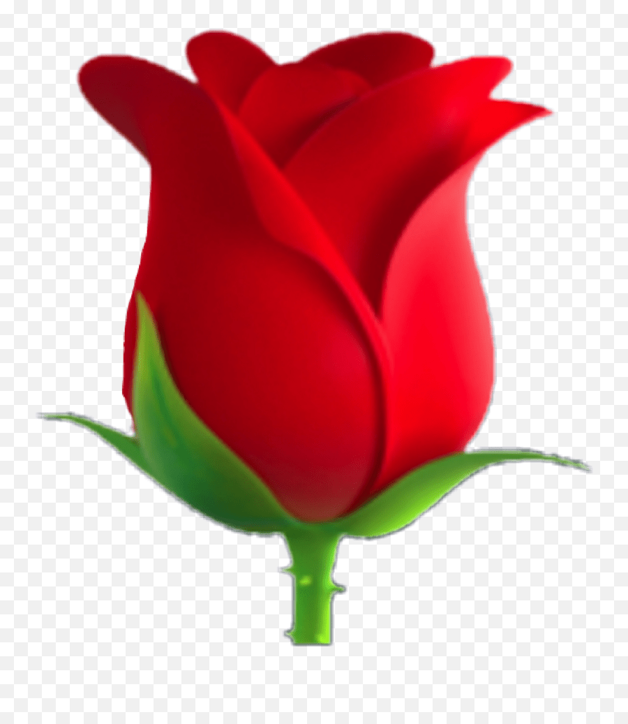 Rose Emoji,Pink Rose Emoji free transparent emoji