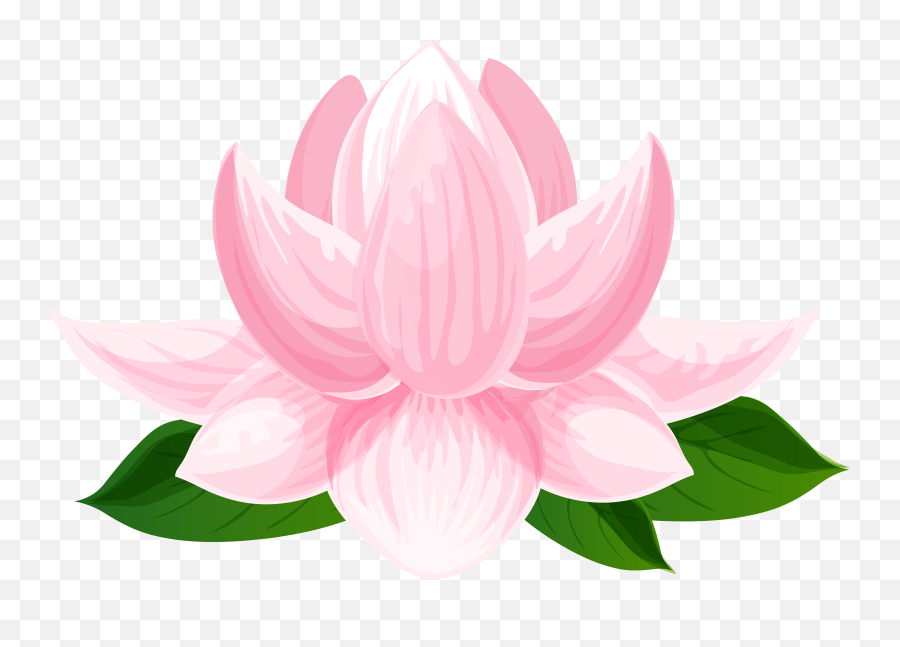 Transparent Lotus Flower Clipart Sacred Lotus Emoji,Lotus Flower