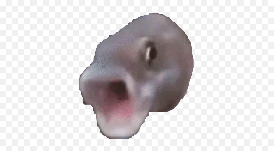 Poggers Fish Pog Meme Sticker Fish Poggers Emoji,Pog Emoji free