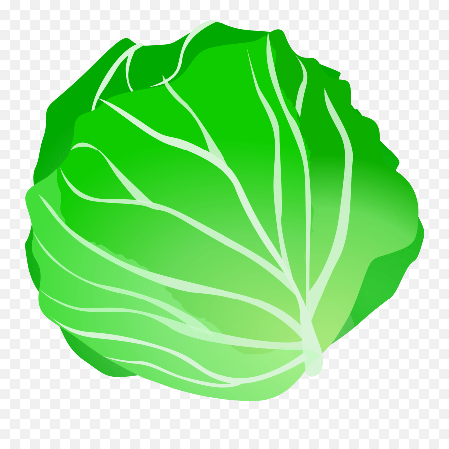 Lettuce Clip Art Clipartall Free Clipart Cabbage Clipart Emoji