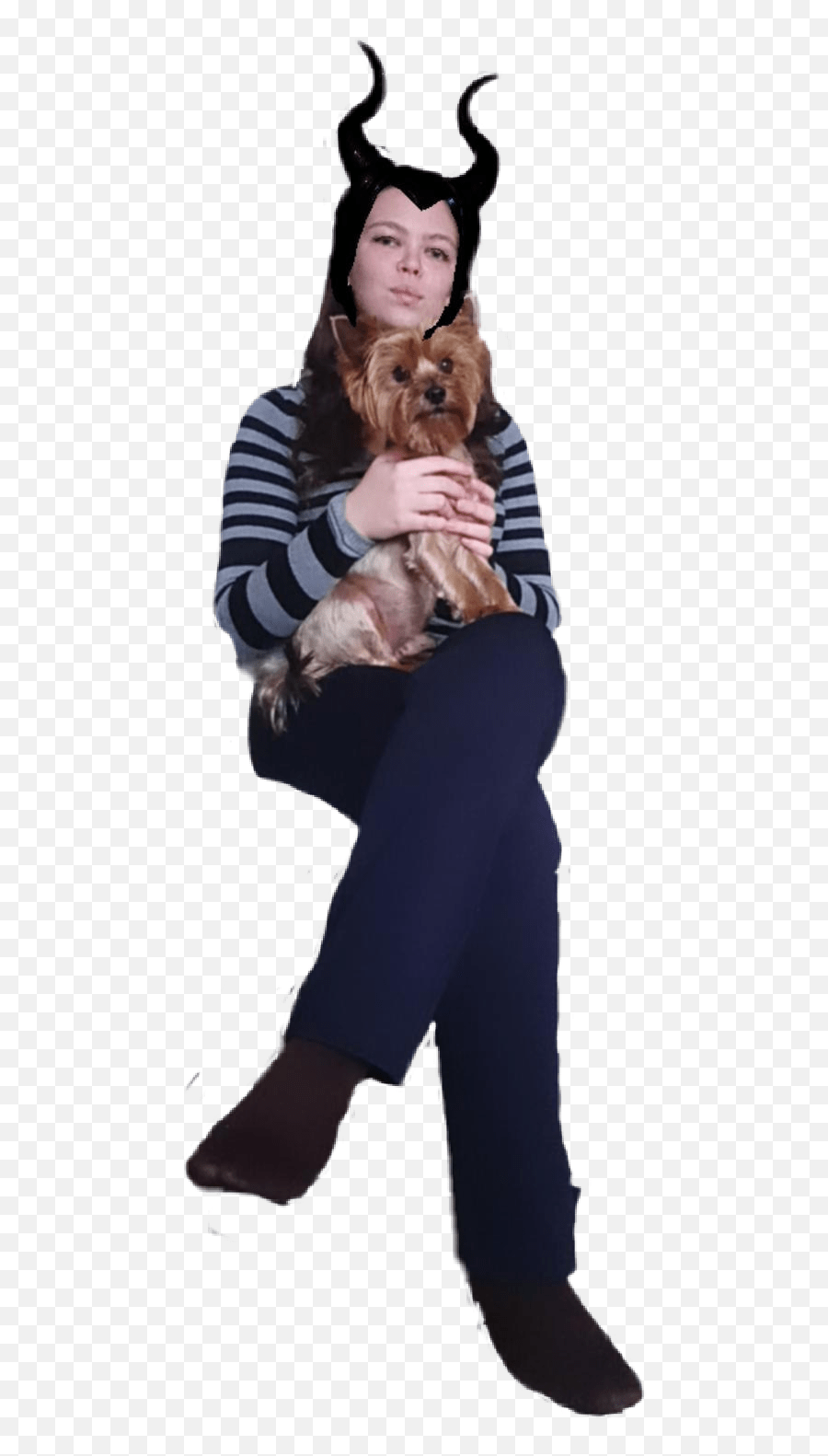 Trending Labradoodle Emoji,Mistress Emoji free transparent emoji