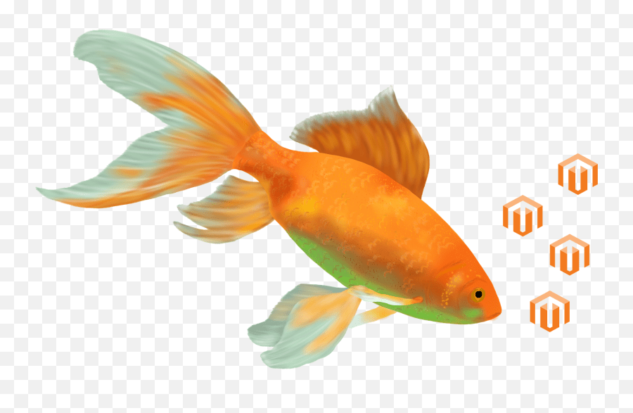 Goldfish Cropped And Flipped Goldfish Emoji,Goldfish Emoji free