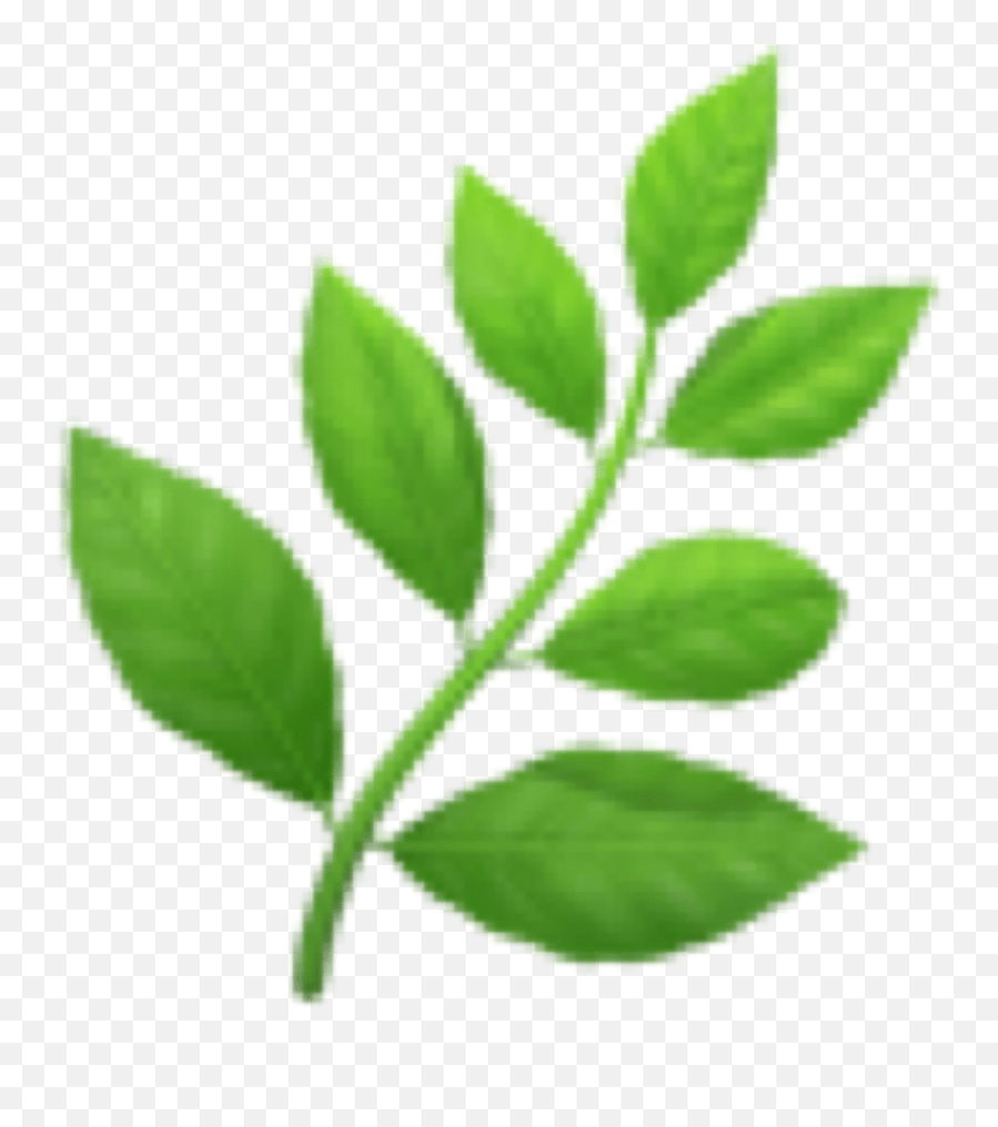 Green Plant Emoji Cute Emojis Leaf Transparent Herb Emoji,Branch