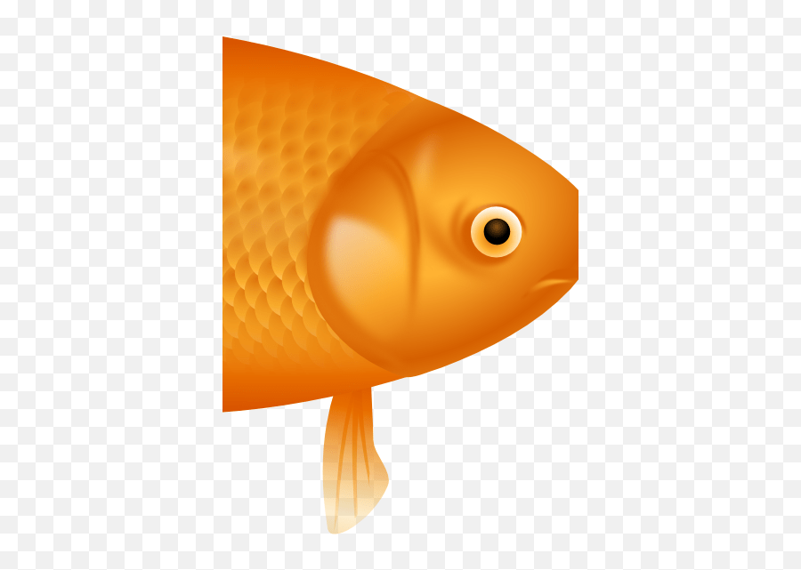 Download Example Image Of A Fish Goldfish Emoji,Goldfish Emoji free
