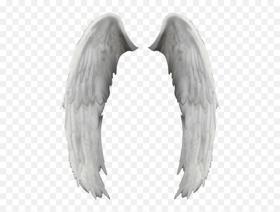 Angel Wings Ali Dangelo Psd Official Psds Angel Wings Emoji,Angel