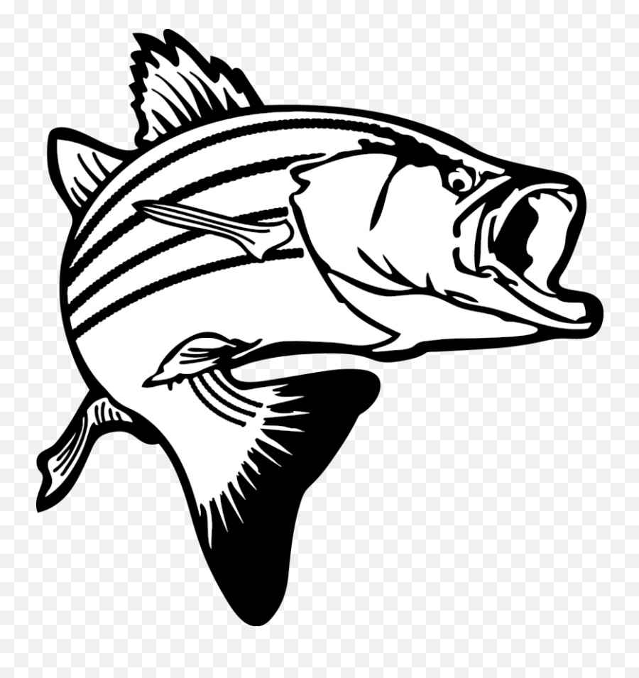 Fish Bass Clipart Clipartix Bass Fish Clipart Black And White Emoji