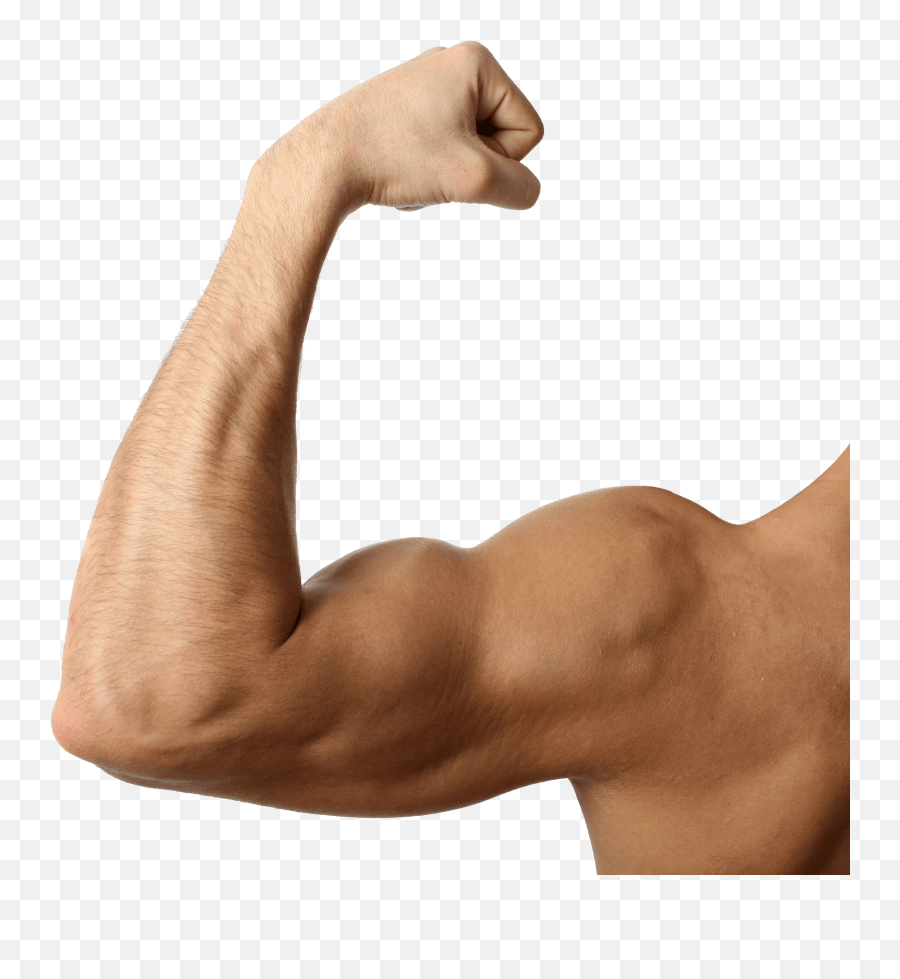 Muscle Arms Png Transparent Background Emoji Fitness Png Muscle Arm Transparent Background,Arm