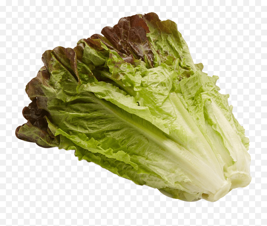 Lettuce Freetoedit Iceburg Lettuce Emoji,Lettuce Emoji free