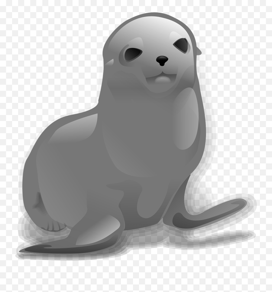 Seal Sealion Sea Lion Sea Mammal Otaria Seal Clip Art Emoji,Cali Flag