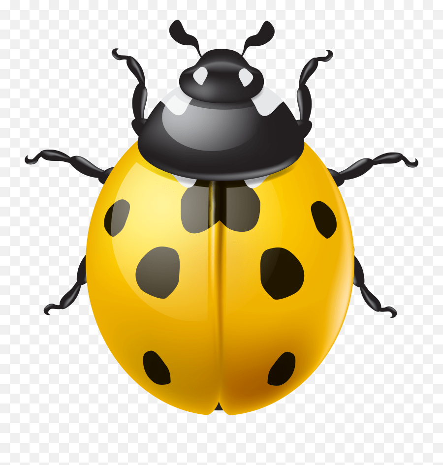 19825 Yellow Free Clipart Emoji,Ladybug Emoji free transparent emoji