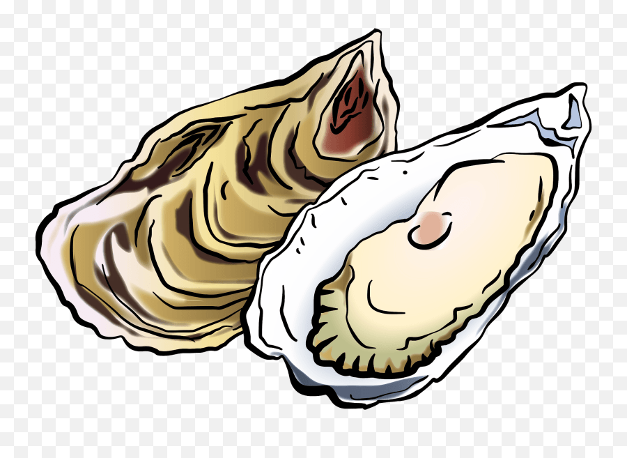 Oysters Clipart Emoji,Oyster Emoji free transparent emoji