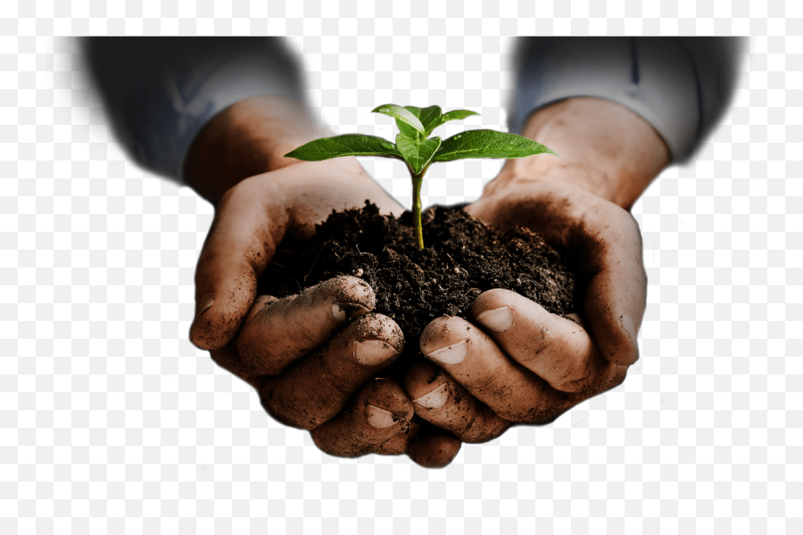 Soil In Hands Png Tree Plant In Hand Emoji,What Do The Different Hand