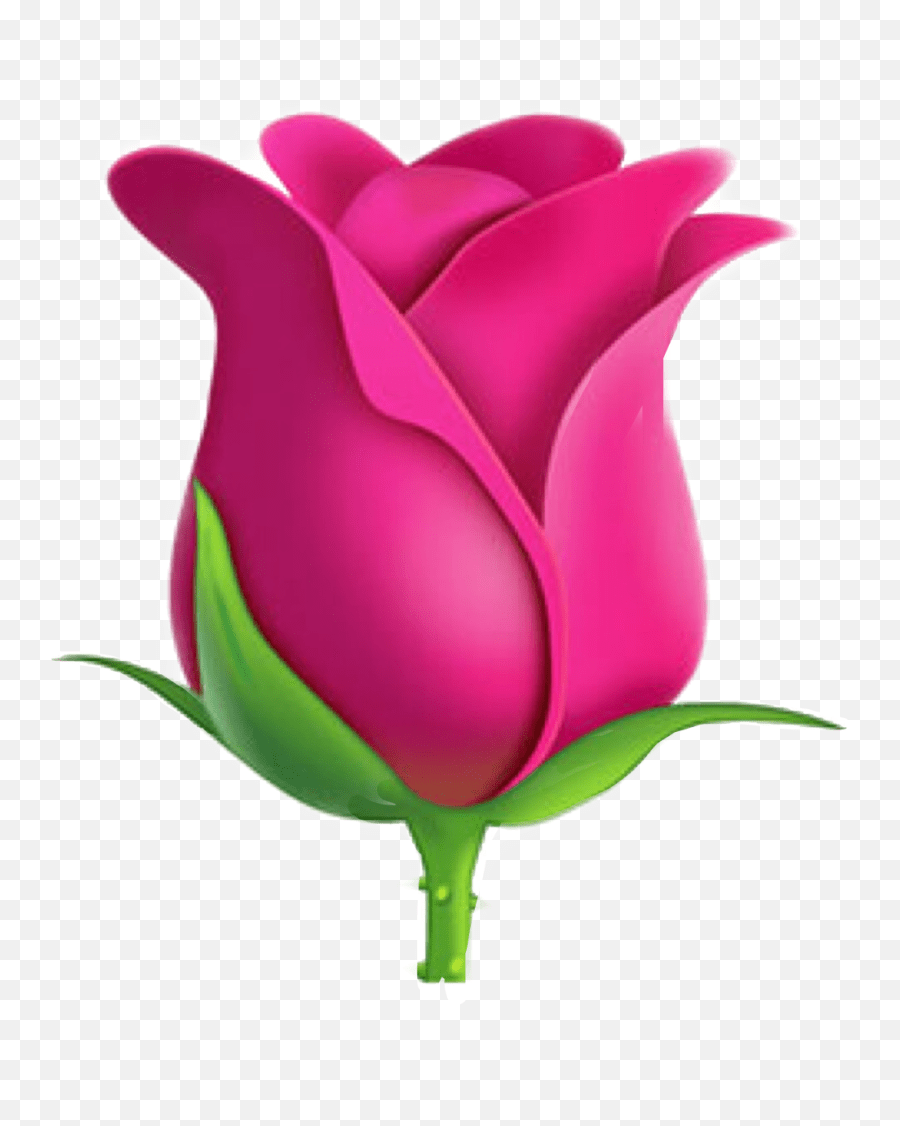 Rose Roseemoji Emoji Pinkrose Pink Rose Emoji Transparent Background