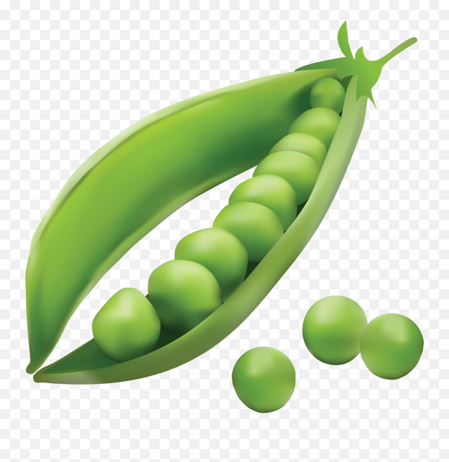 Shit Png Seed Dispersal By Explosion Peas Emoji,Pea Emoji free