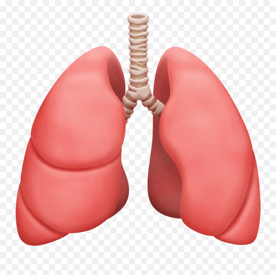 Apple And Google Reveal New 2020 Emojis Lungs Emoji,Google To Apple