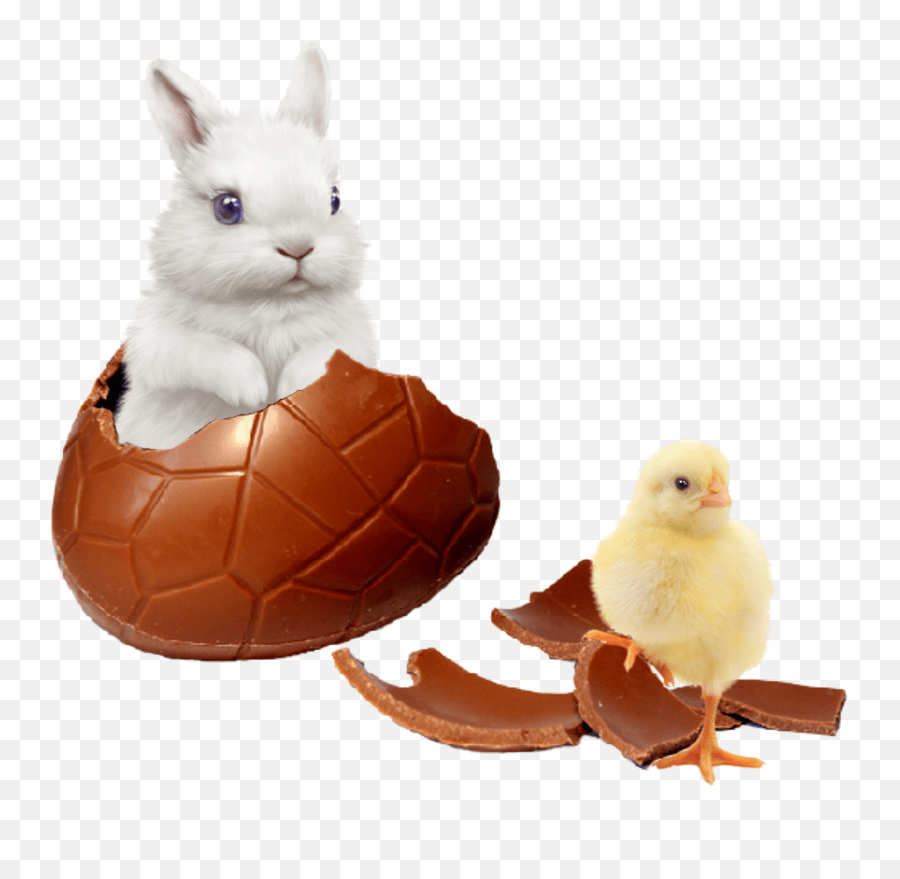 Rabbit Babychick Sticker Domestic Rabbit Emoji,Rabbit Egg Emoji