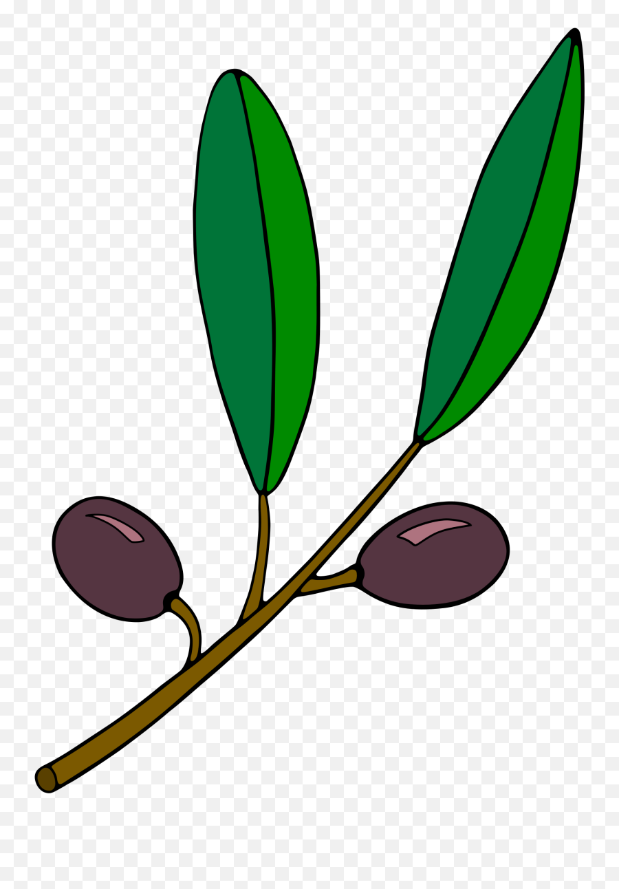 Olive Clipart Svg Olive Svg Transparent Free For Download Plant